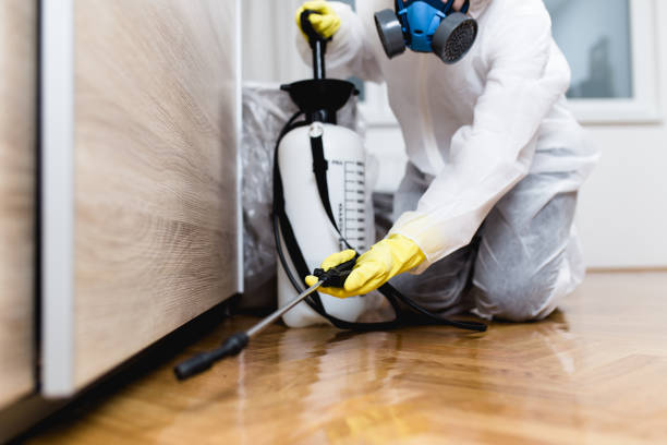 Bayou Blue, LA Pest Control Company