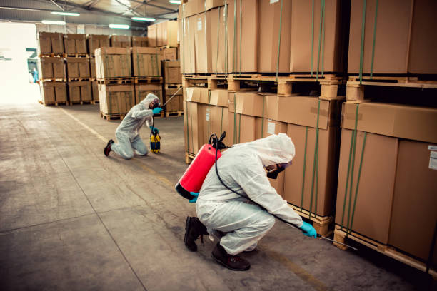 Flea Control Services in Bayou Blue, LA