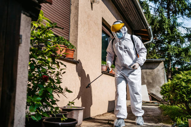 Reliable Bayou Blue, LA Pest Control Solutions