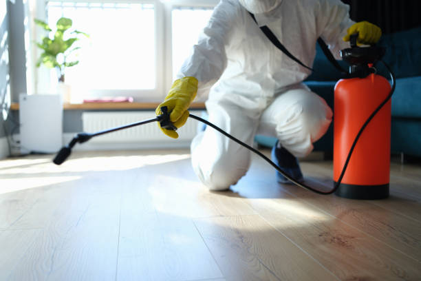 Best Pest Prevention Services  in Bayou Blue, LA
