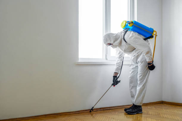 Best Wasp Removal Services  in Bayou Blue, LA