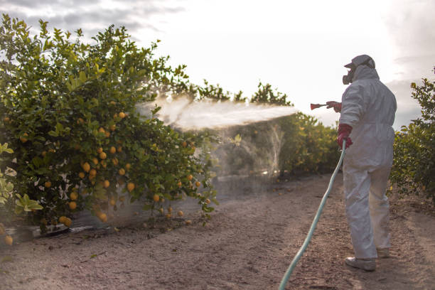 Pest Prevention Services in Bayou Blue, LA